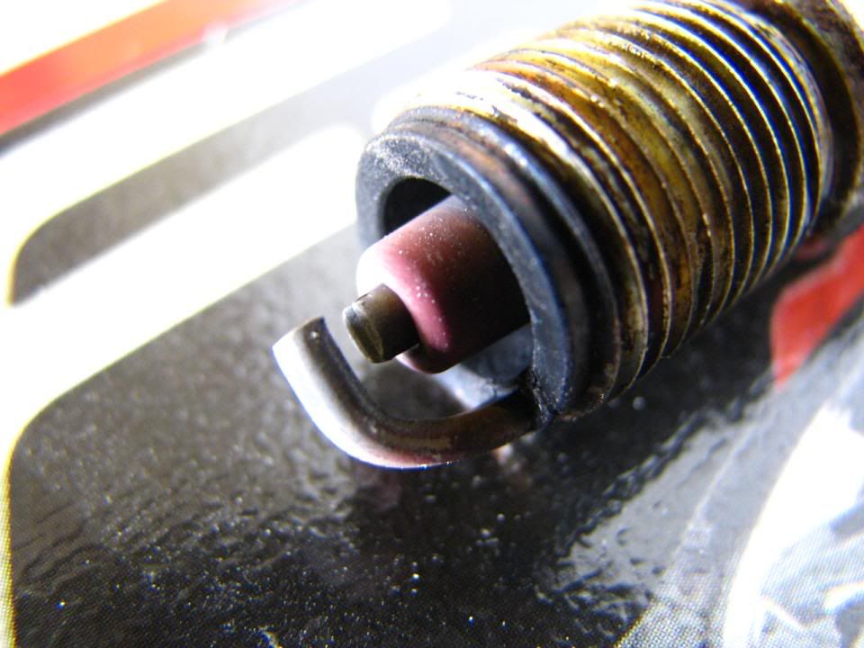 Red spark plug insulator??? Team Camaro Tech